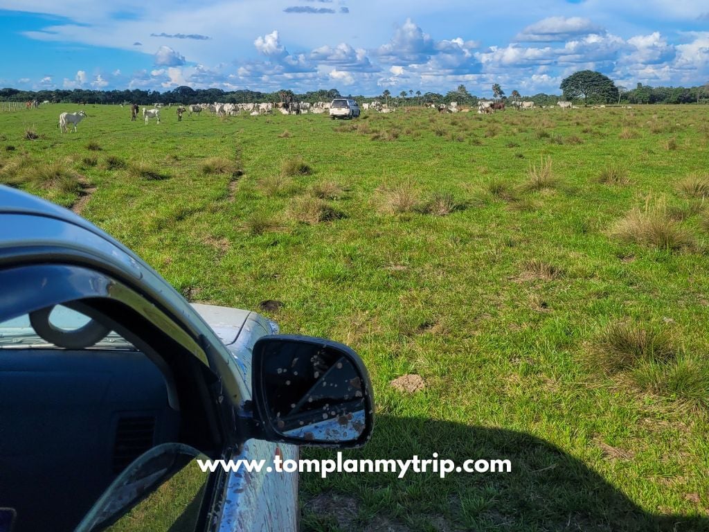 Altagracia Transport