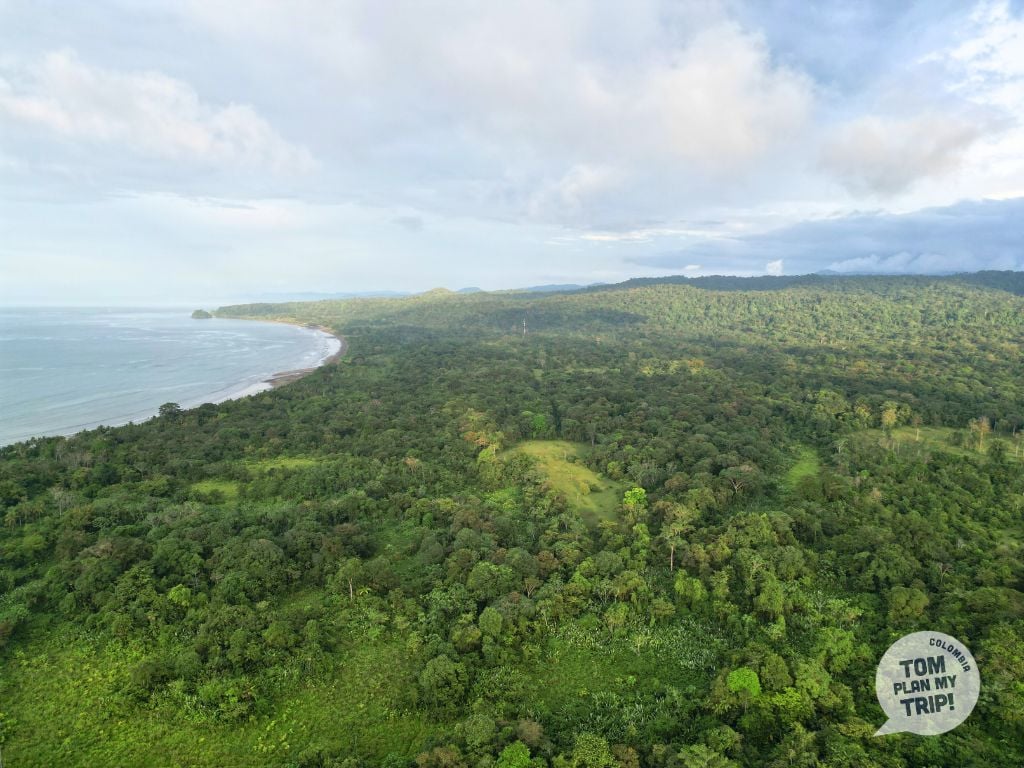 Arusi Pacific Coast Colombia (7)