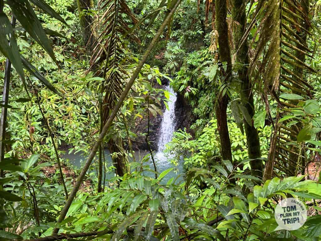 Arusi Pacific Coast Colombia - Hiking El Amargal (15) (1)