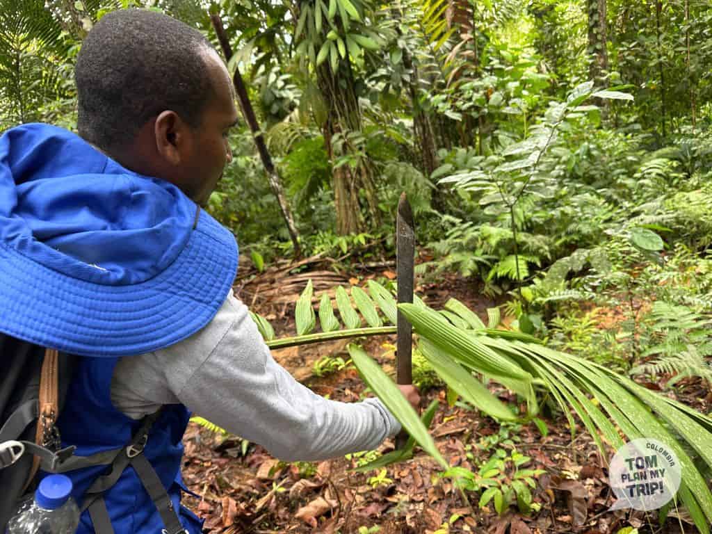 Arusi Pacific Coast Colombia - Hiking El Amargal (20) (1)