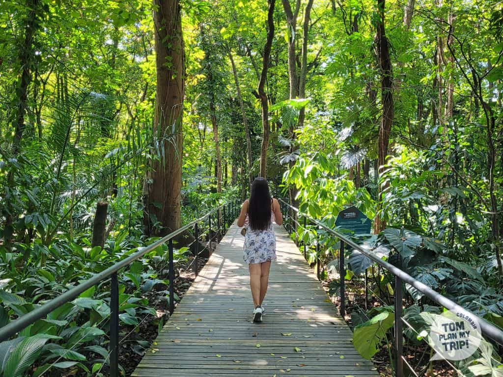 Arvi Park Medellin Antioquia Colombia - Aleja