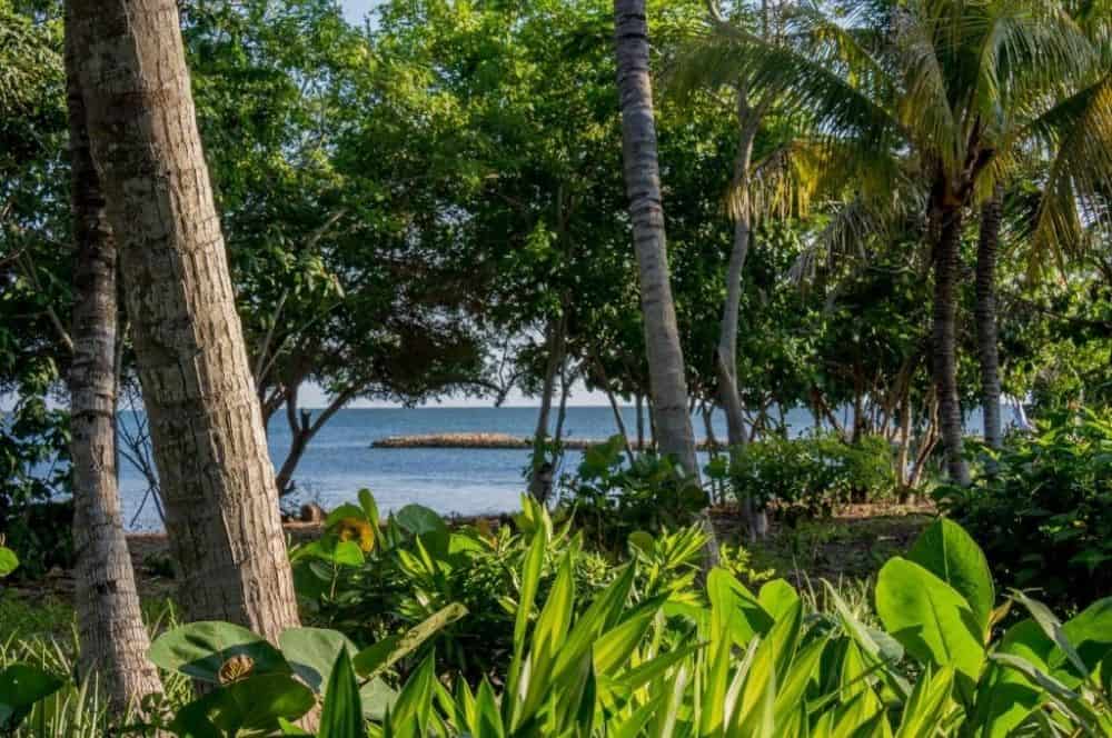 Bahia Barbacoa Credit Playa Manglares (1)