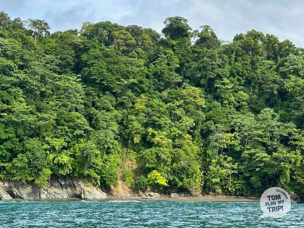 Bahia Solano - tour whales Pacific Coast Colombia