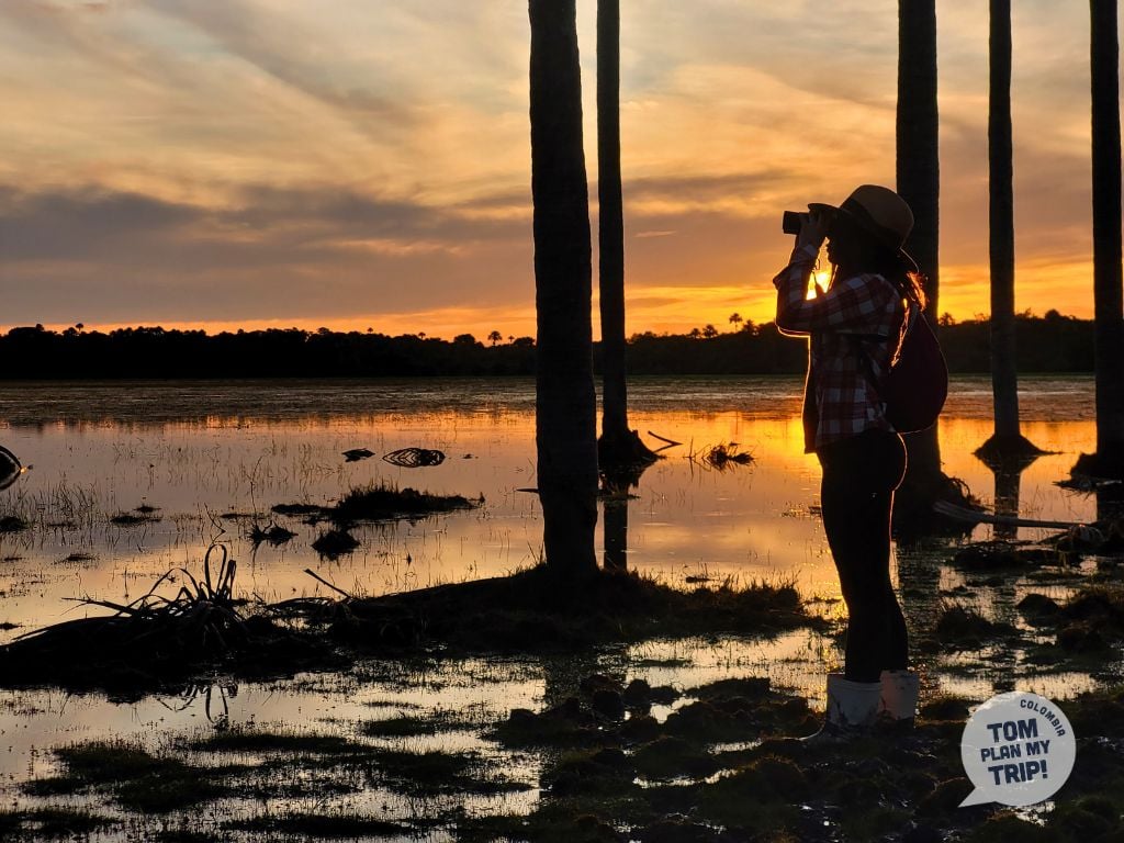 Caiman Encanto de Guanapalo - Hato Mata de Palma - Yopal Casanare Colombia - Los Llanos Orientales (1)