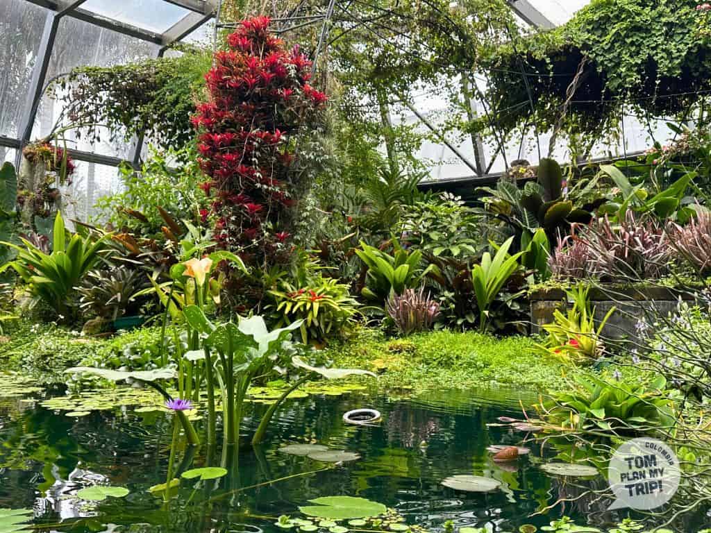 Botanica Garden - Bogota and around