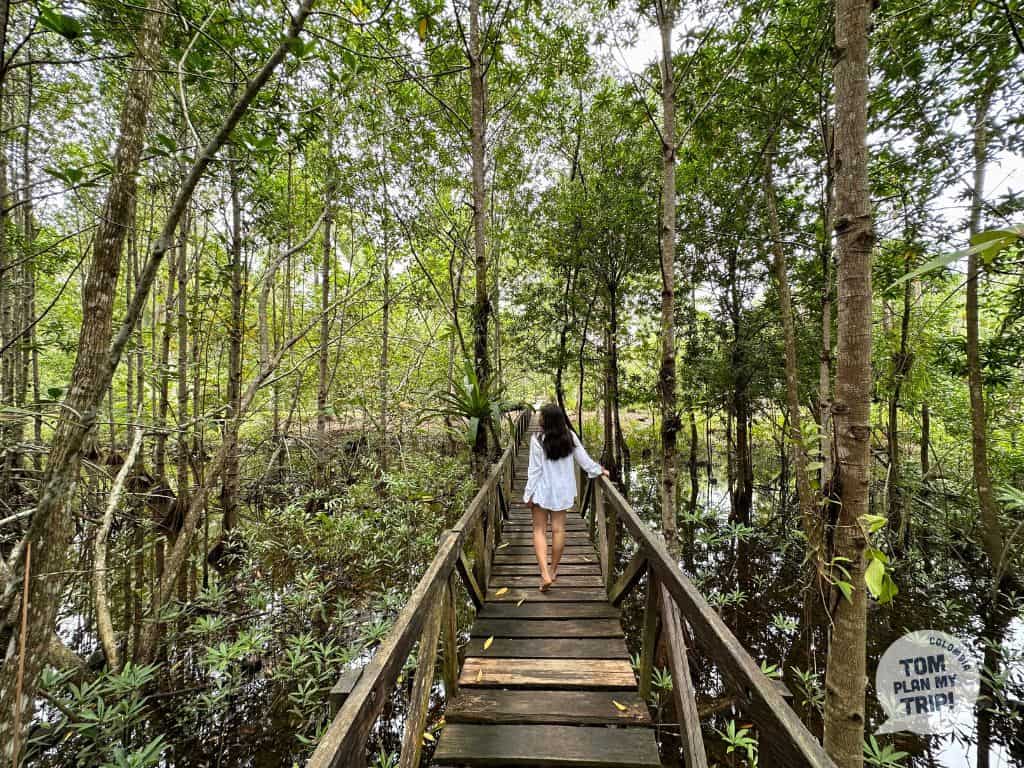 Botanical garden Mecana Bahia Solano Pacific Coast Colombia