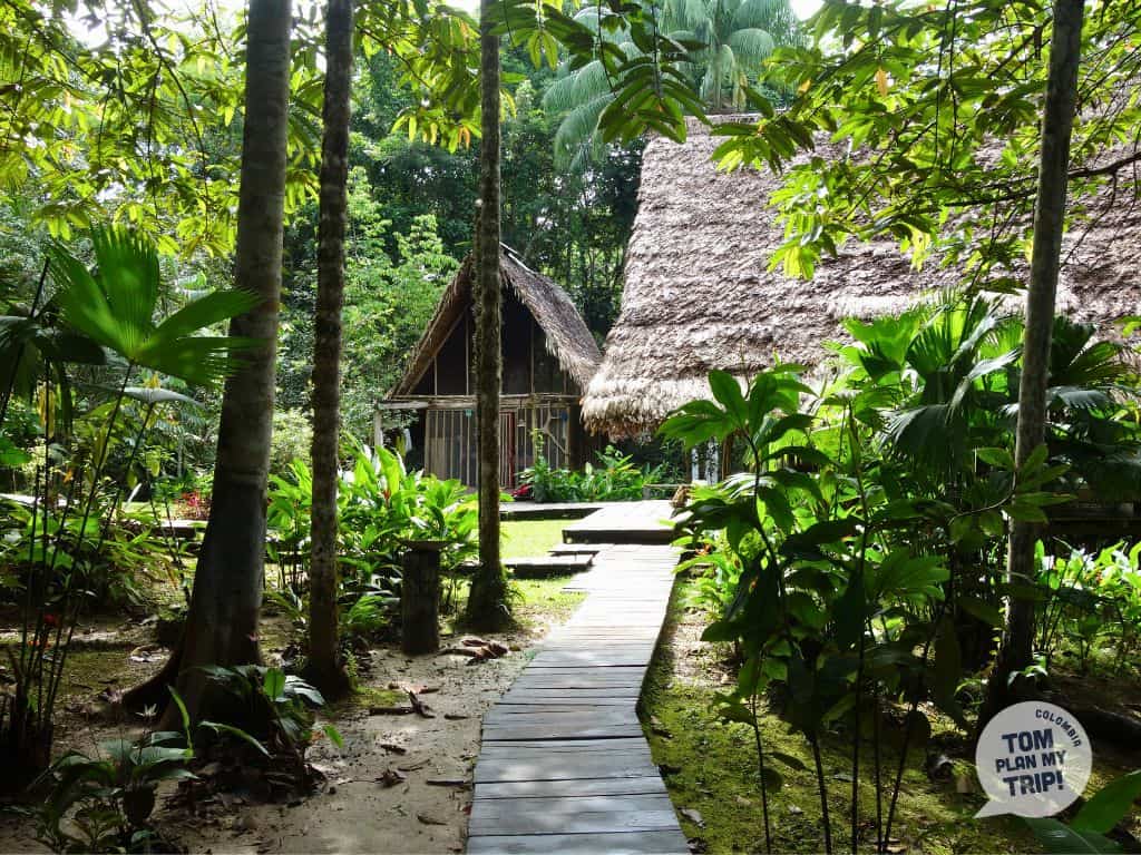 Calanoa Amazon Colombia