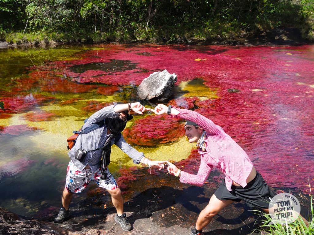 Caño Cristales - Tapete Rojo - Los Llanos Colombia - Adrien Tom