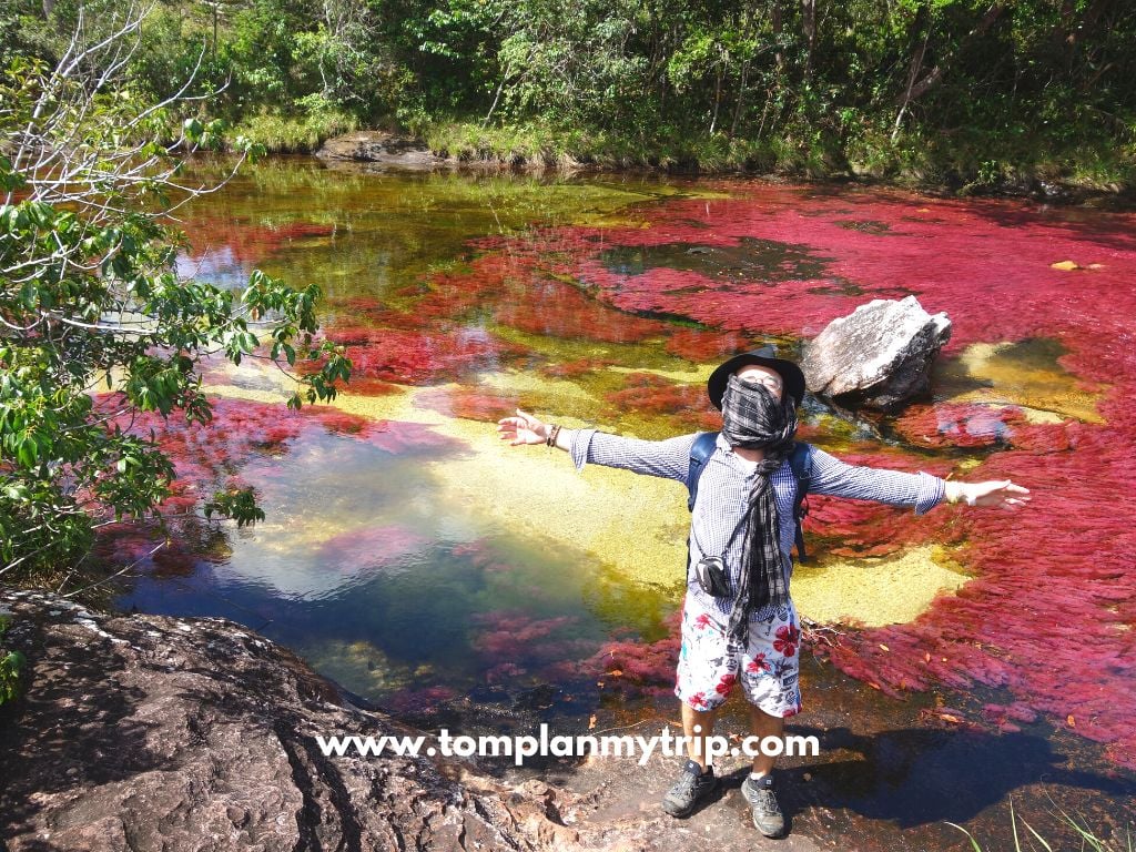 Caño Cristales