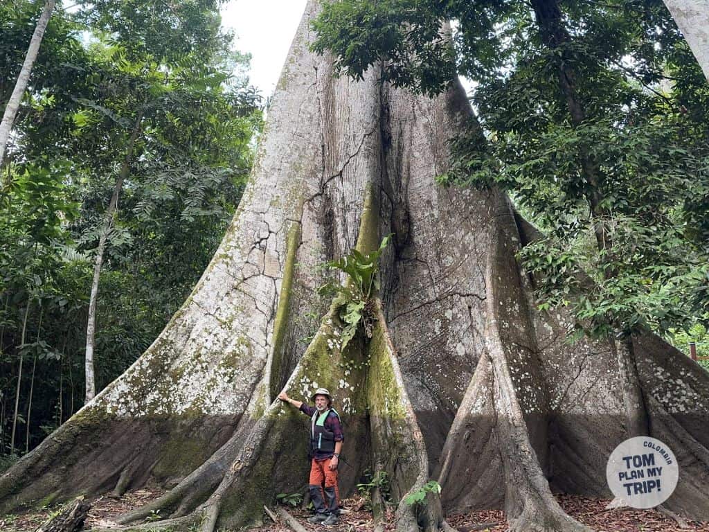 Ceiba Marasha Ecolodge from Leticia Amazon Colombia (1)