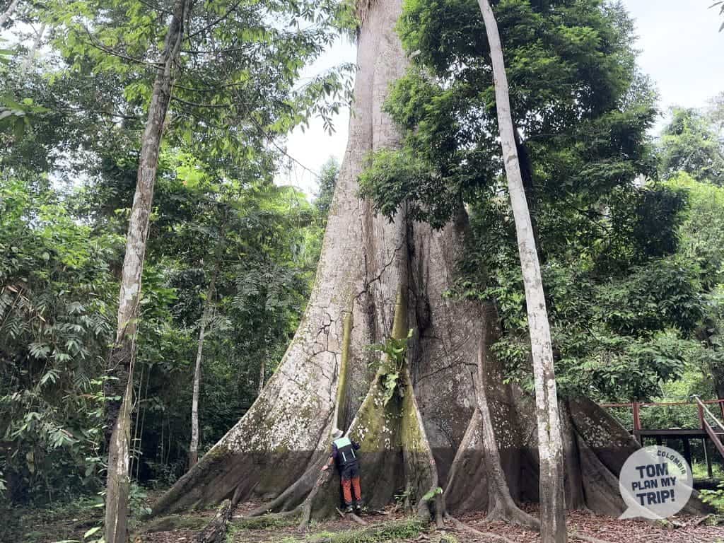 Ceiba Marasha Ecolodge from Leticia Amazon Colombia (2) (2) (1)