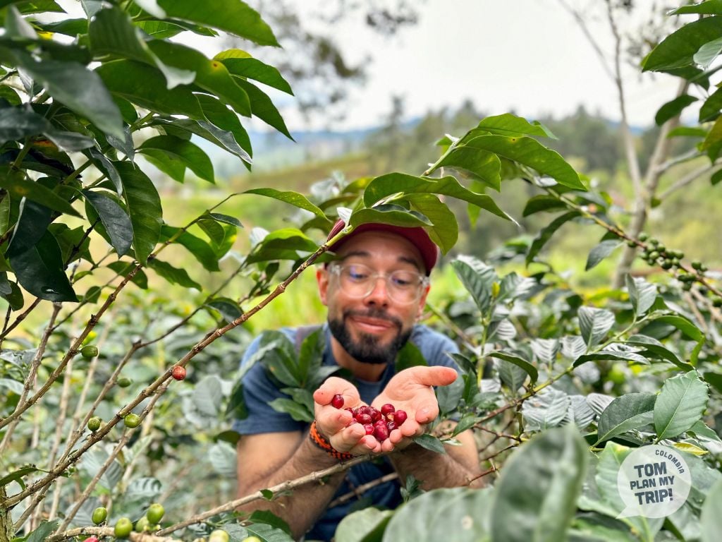 Coffee tour Concepcion Antioquia Colombia - tom (2)