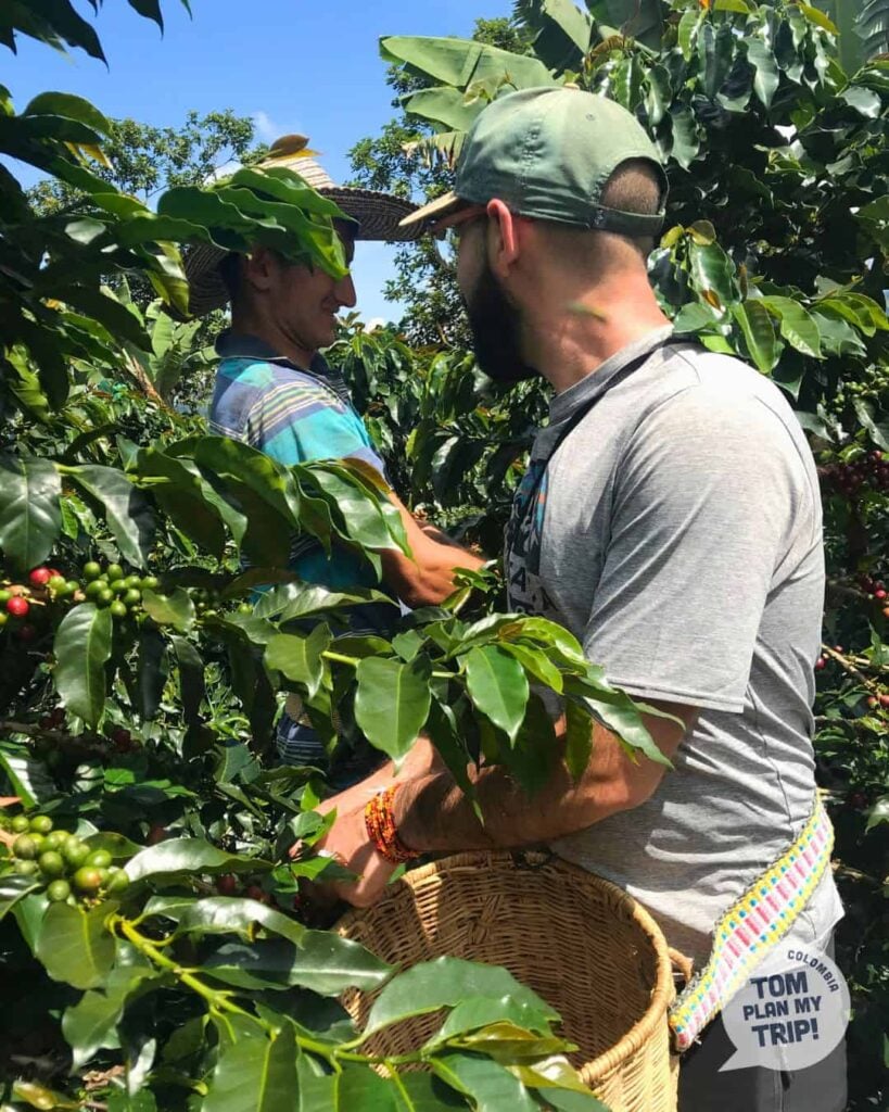 Coffee Farm Jardin Antioquia Colombia (4) (1)