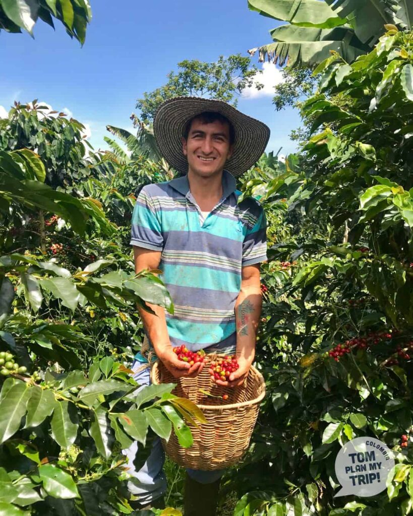 Coffee Farm Jardin Antioquia Colombia