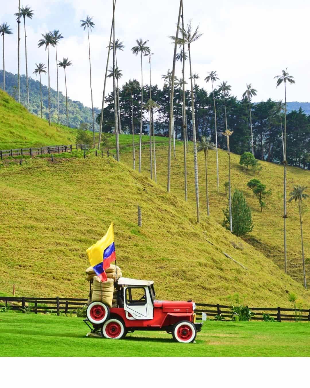 Coffee region - Cocora Valley - Jeep Willis - Région du café