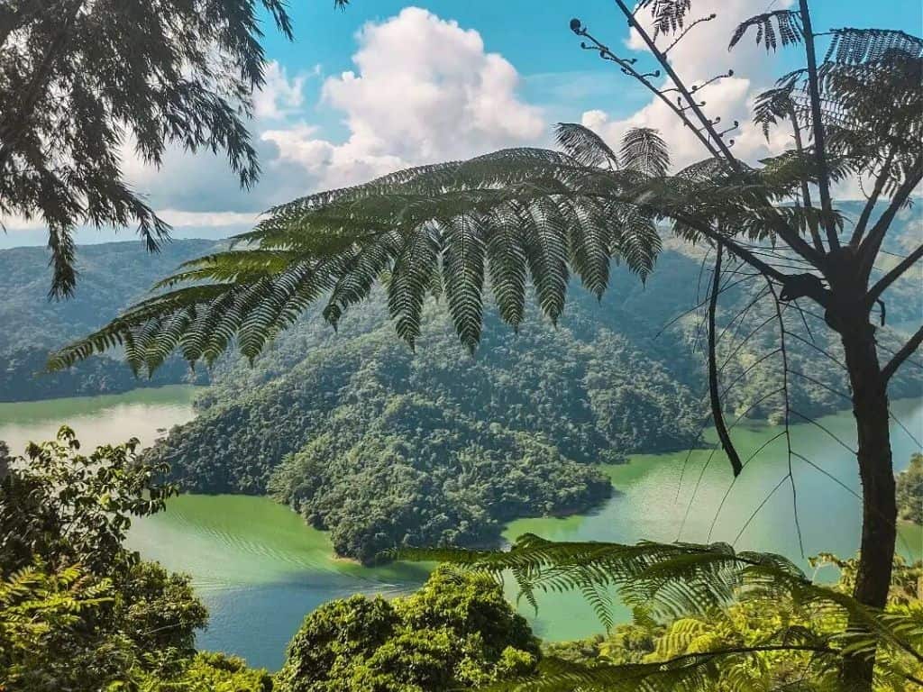 Coffee region - Norcasia - lake