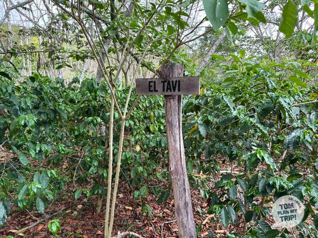 Coffee Tour Barichara Santander Colombia (13) (1)