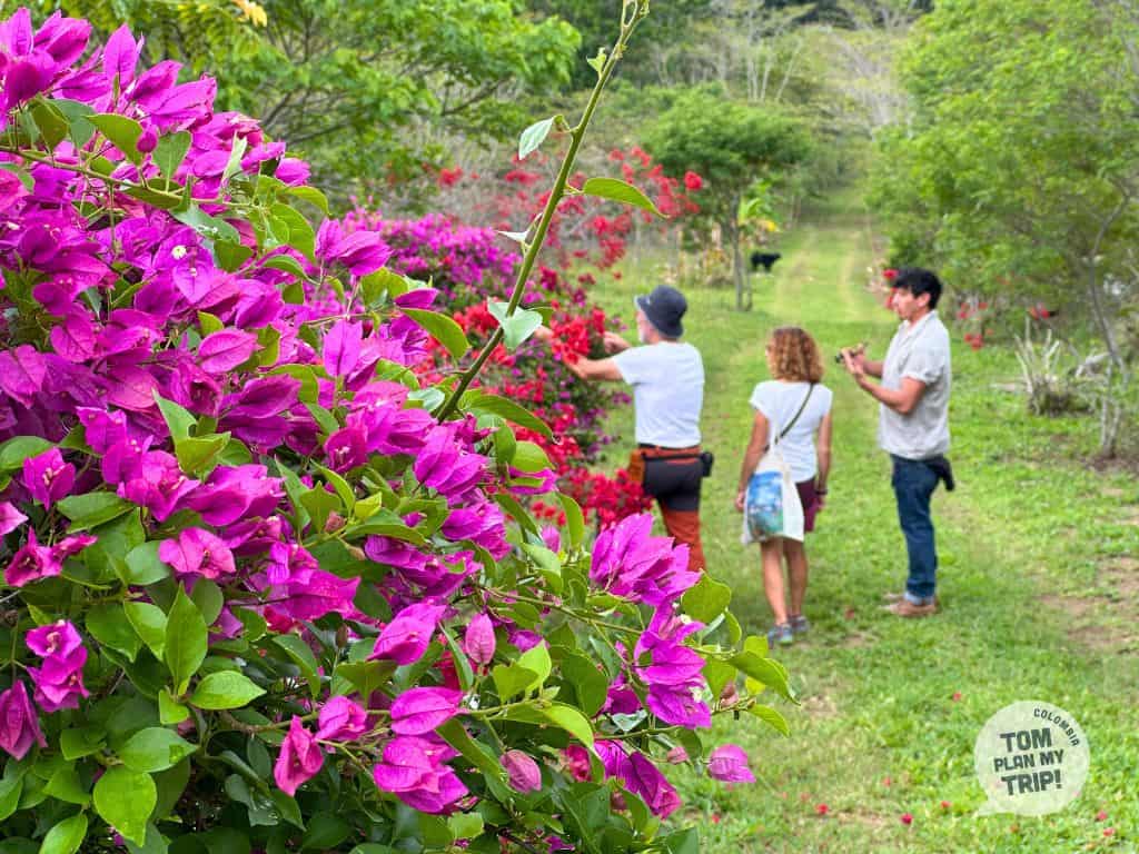 Coffee Tour Barichara Santander Colombia (15) (1)