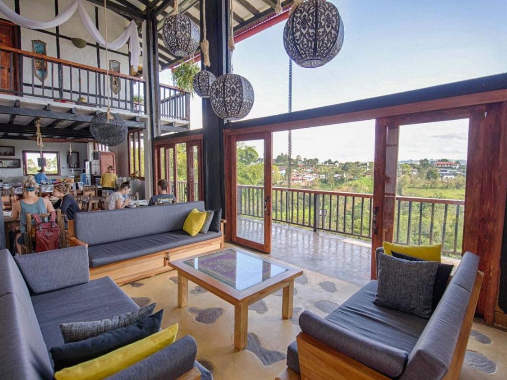 Coffee Tree Boutique Salento Coffee Region (Coffee Tree)