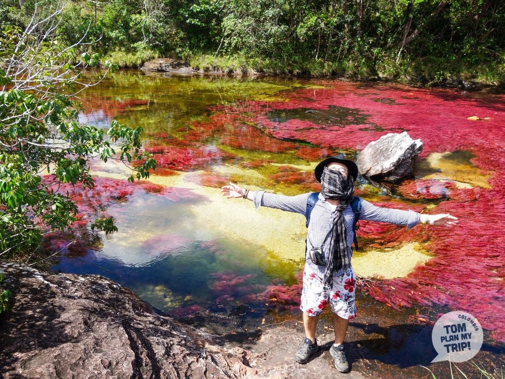 Caño Cristales Colombia - Amazon Gateway - Tom