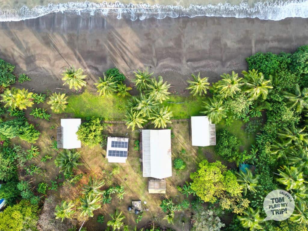 Coqui Pacific Coast Colombia - Irana Beach