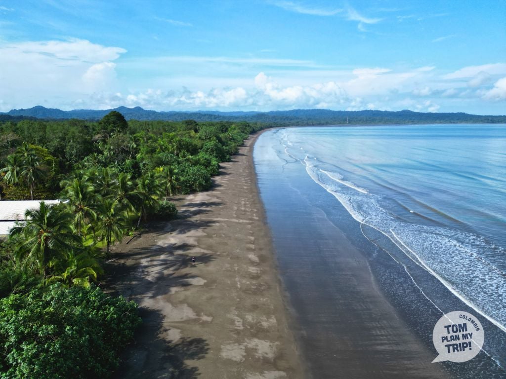 Coqui Pacific Coast Colombia - Irana Beach