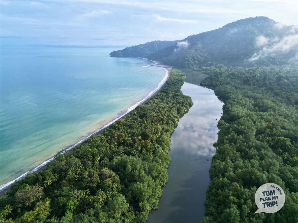 Coqui Pacific Coast Colombia (4)