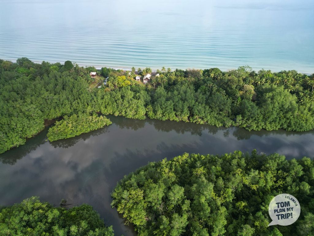 Coqui Pacific Coast Colombia - Irana Beach