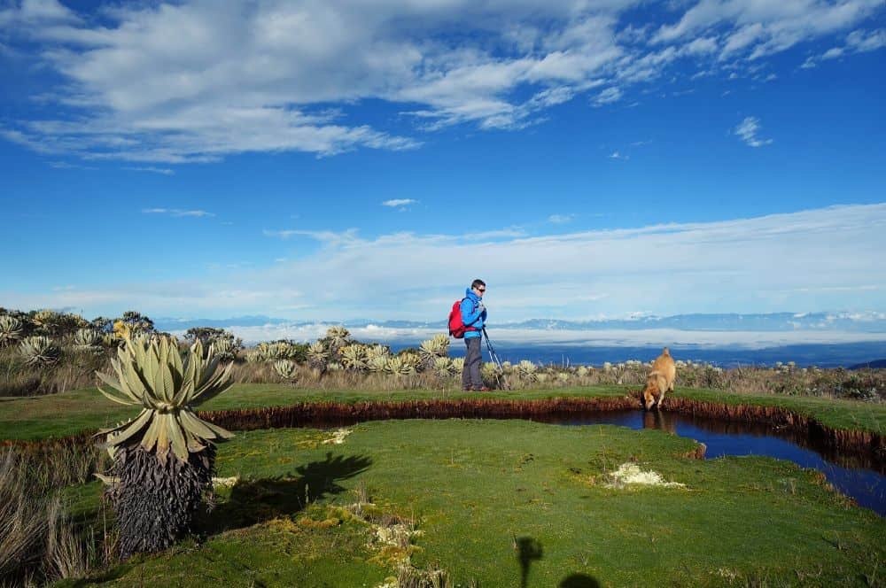 Dog & Adrien popayan