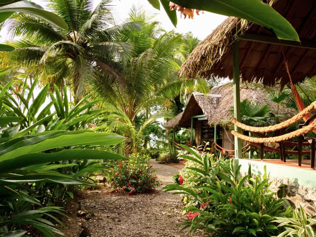 Ecolodge Gonzalo Guachalito Pacific Coast Colombia
