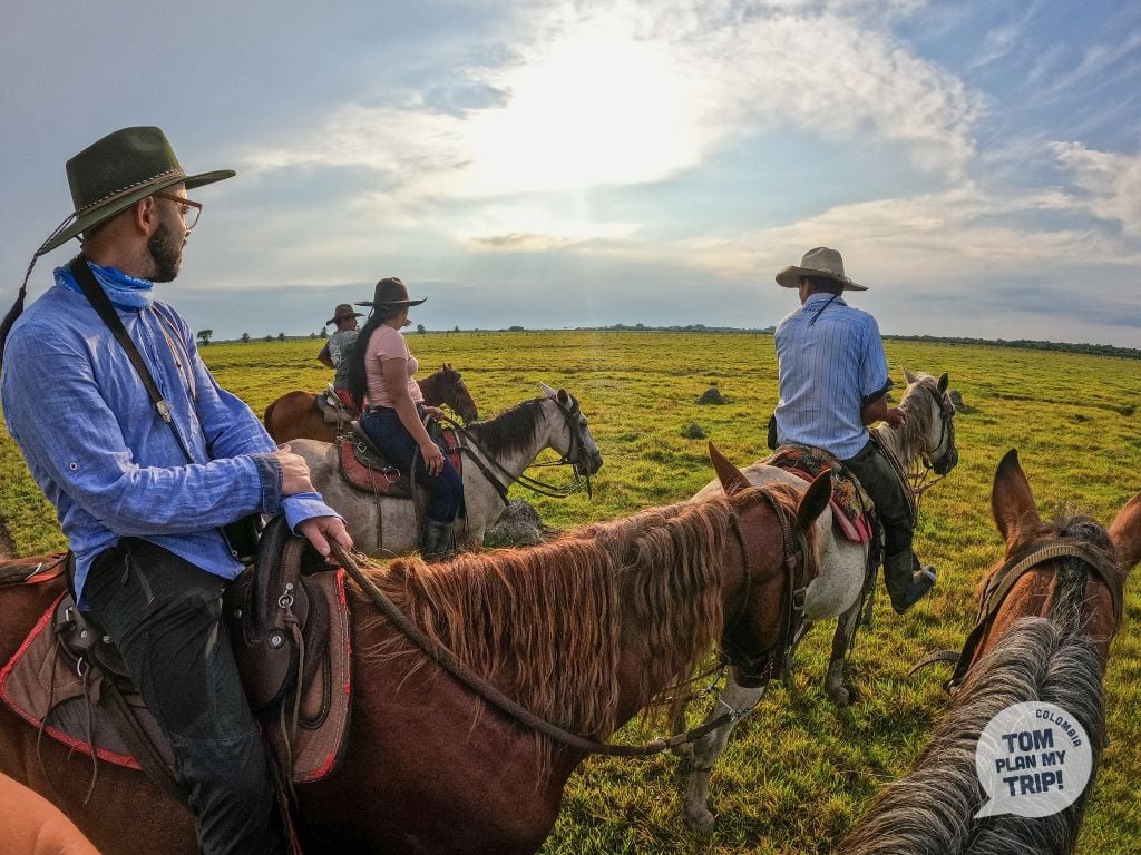 Encanto de Guanapalo - Hato Montana - Yopal Casanare Colombia - Los Llanos Orientales - Bird