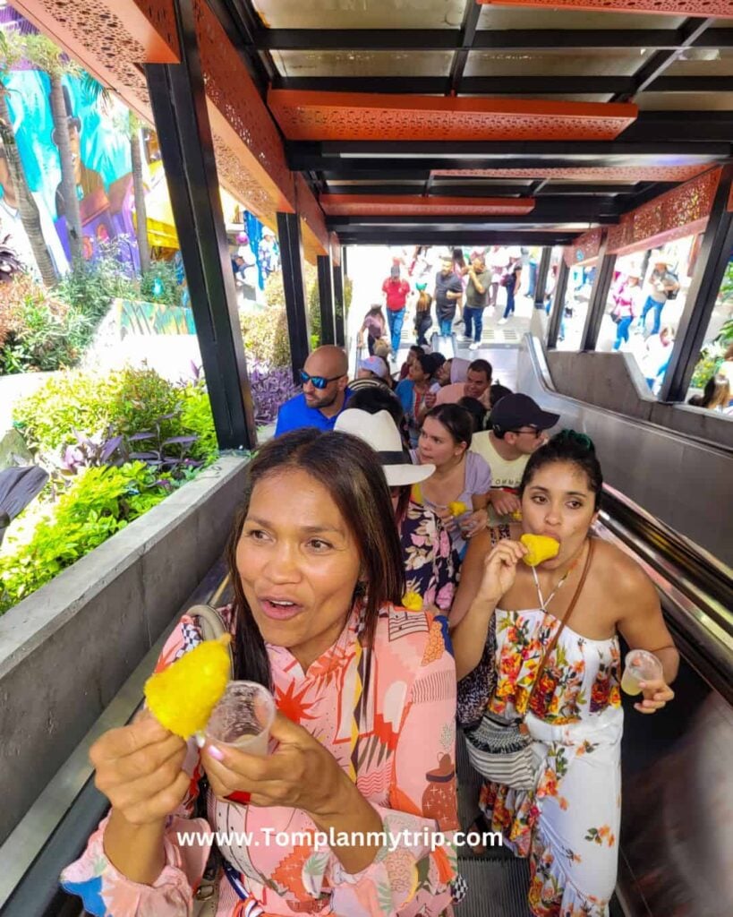 Escalator Comuna 13 (1)