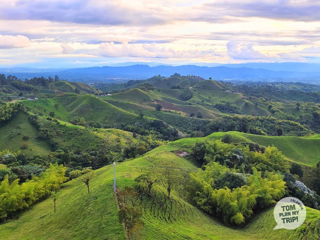 Filandia Coffee Region