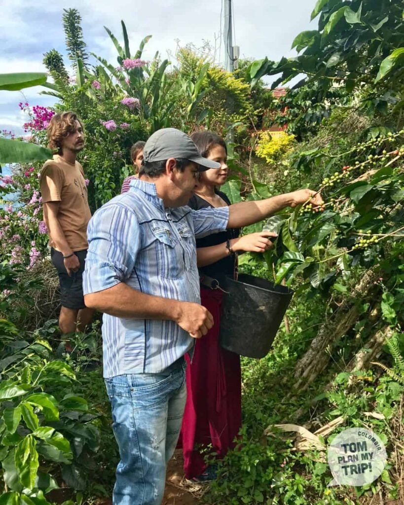 Coffee tour in Finca de Ariel Jerico Antioquia Colombia