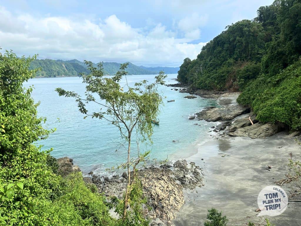 Fish Food Utria Park El Valle Pacific Coast Colombia