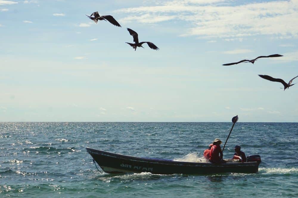 Fishing San Bernardo
