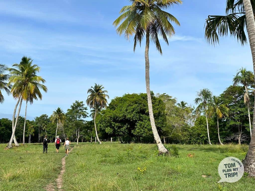 Forest in Rincon Del Mar - Colombia - Western Caribbean Coast