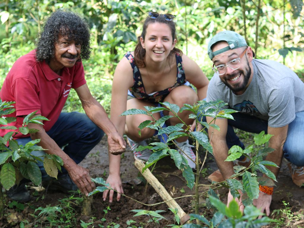 Fredonia coffee tour - Medellin - antioquia