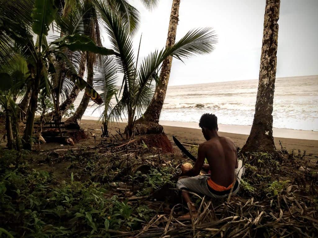 Fresh Coconut in Termales (1)