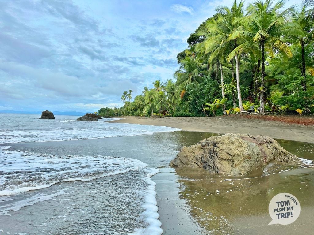 Guachalito Choco - Pacific Coast Colombia (8)