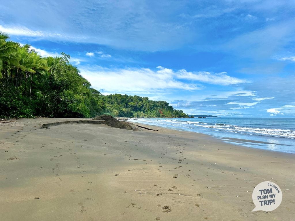 Guachalito Pacific Coast Colombia - Beach (1)