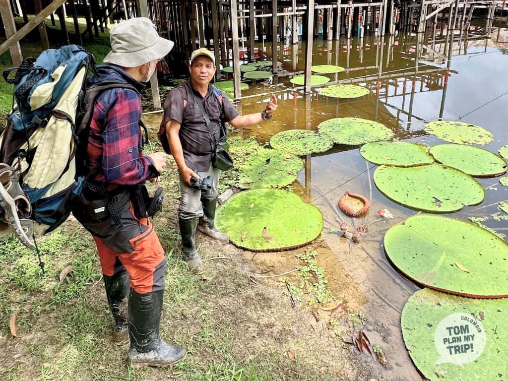 Guide and Victoria Regia in Marasha Amazon from Leticia Colombia