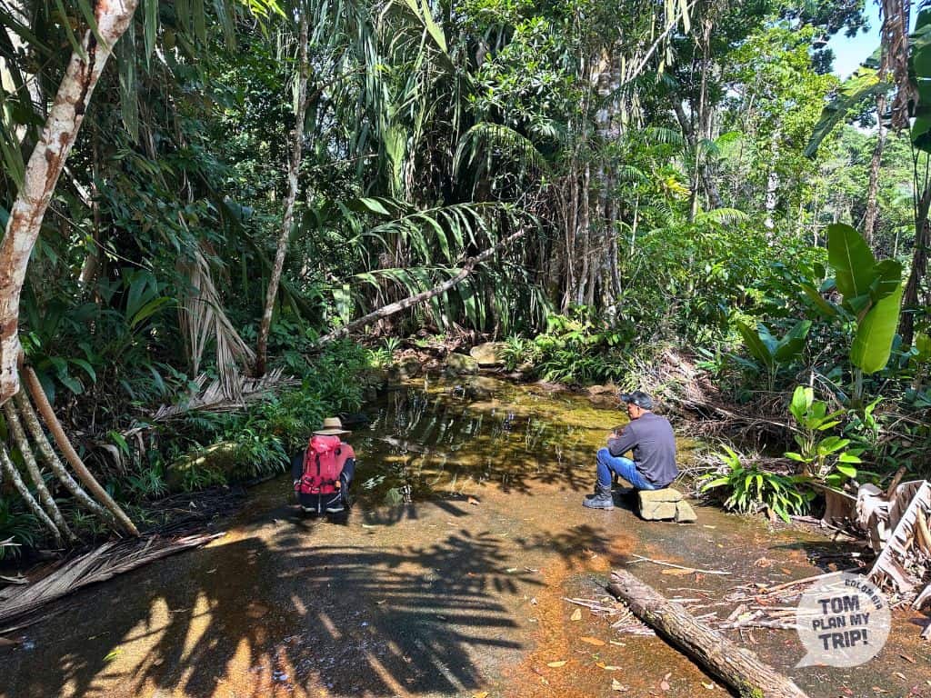 Hike around Cerros de Mavecure Colombia - Amazon Gateway
