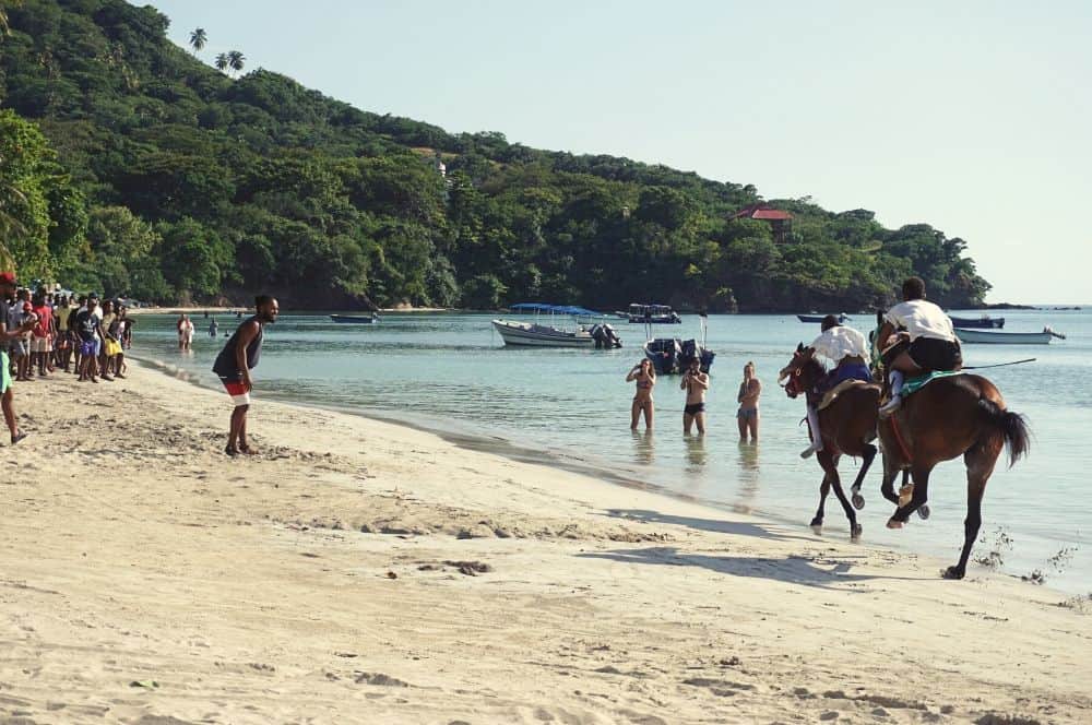 Horse race Providencia