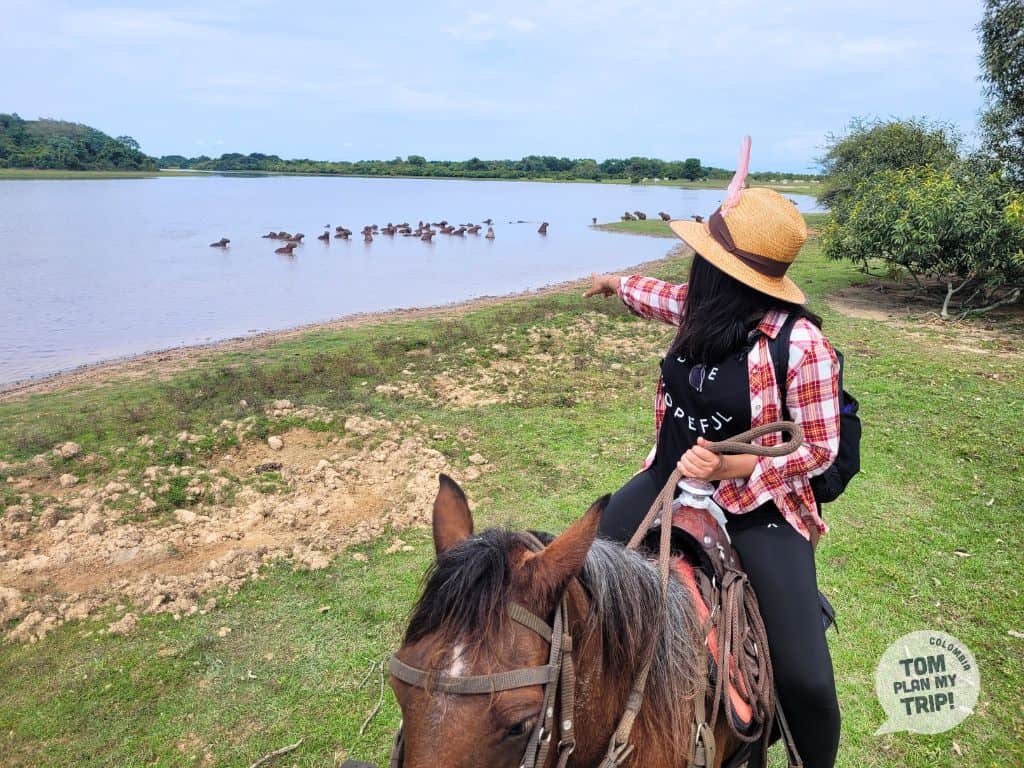Horse riding Encanto de Guanapalo Yopal Casanare Los Llanos Orientales Colombia - Aleja
