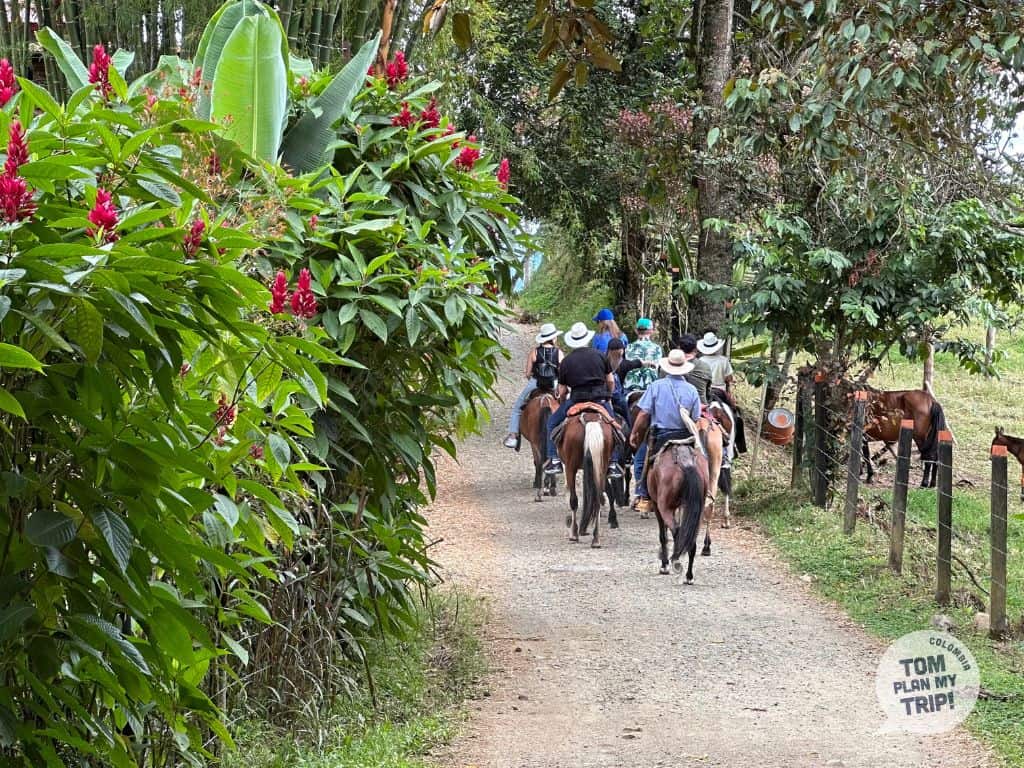 Horse riding Jardin Antioquia Colombia