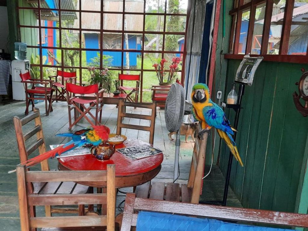 Hotel Cabañas alto del aguila - Puerto Nariño - Amazon