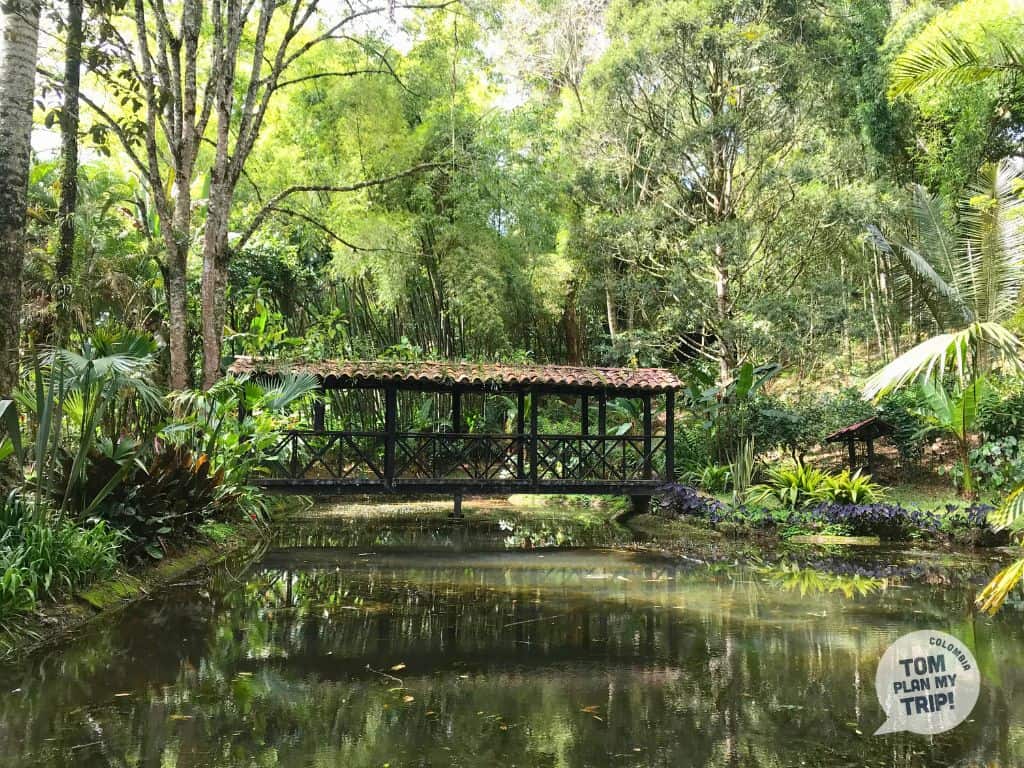 Jardin Botanico Jerico Antioquia Colombia