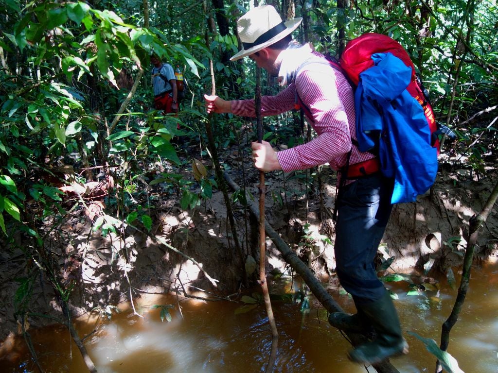 HD Jungle - Selva - Amazon Palmari