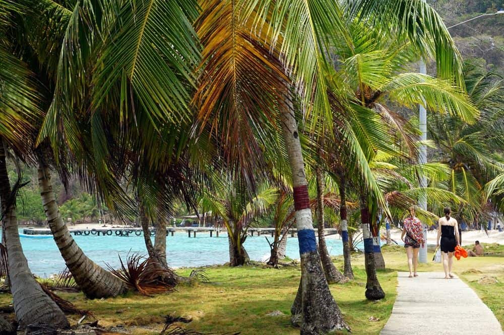 La Miel Sapzurro (1)